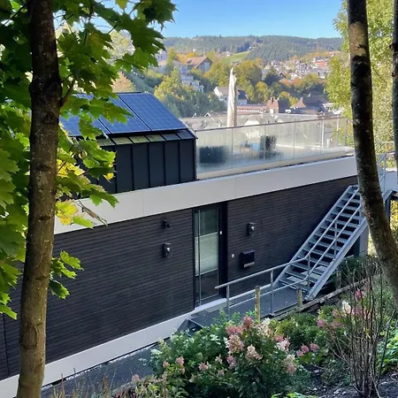 Williadukt Prázdninový dům Willingen (Upland)